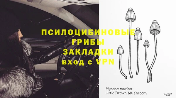 прущие крисы Михайлов
